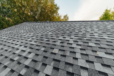 Repair Wear and Tear of Your Asphalt Shingles!