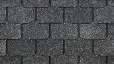 Regular Roof Maintenance Helps the Longevity of Your Shingles!