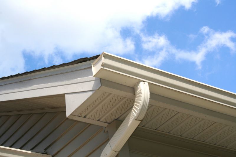 Gutter and Roof System