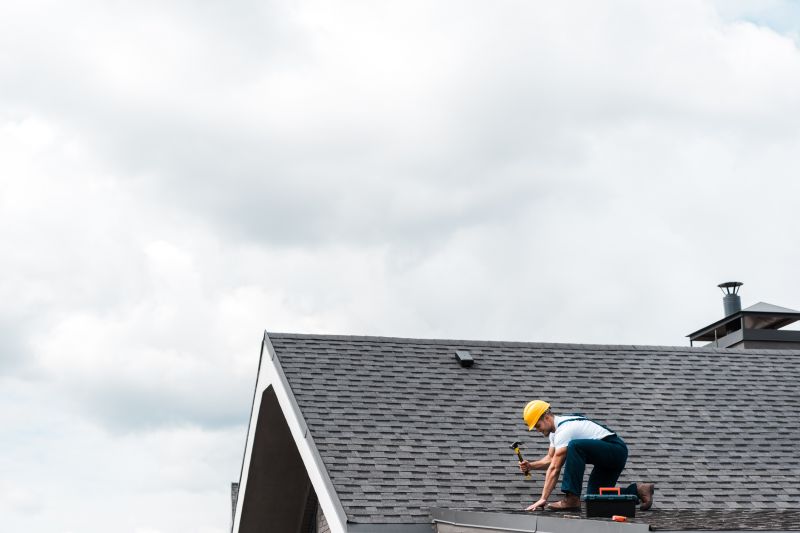 Roof Shingle Maintenance