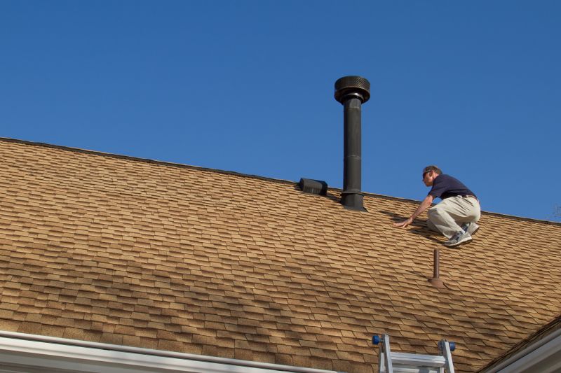Roof Shingle Maintenance