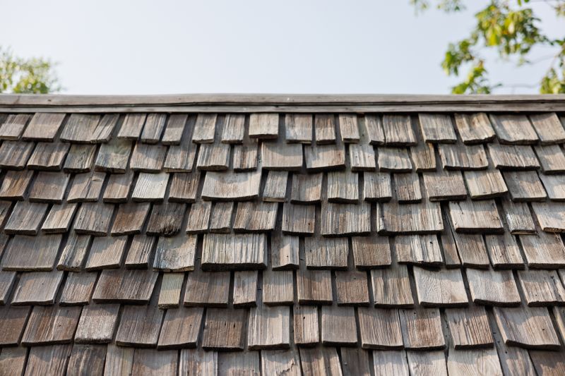 Roof Shingle Maintenance