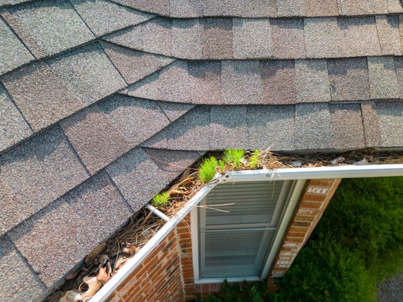 Gutter and Drain Cleaning