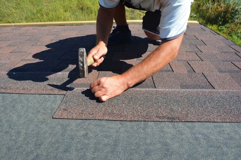 Roof Shingle Maintenance