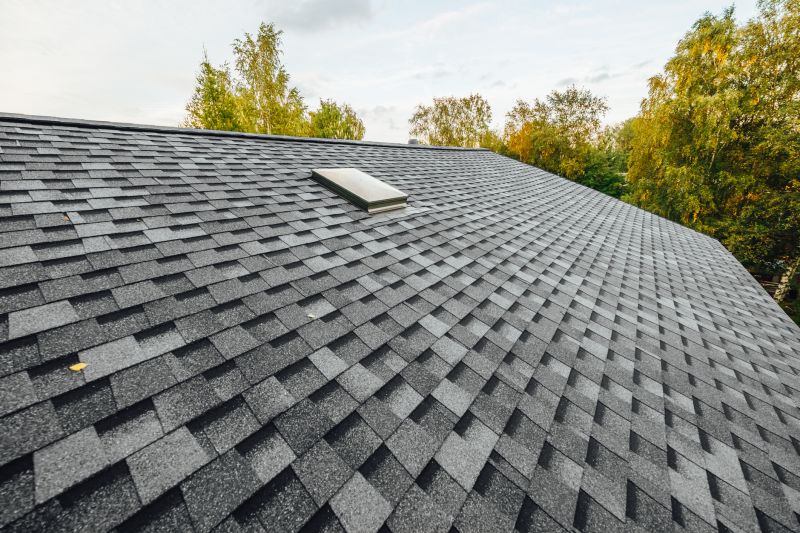 Roof Shingle Maintenance