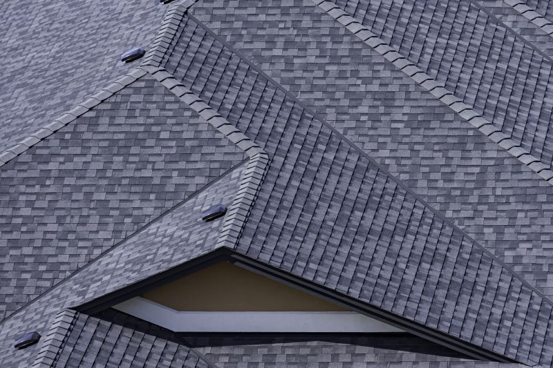 Roof Shingle Maintenance