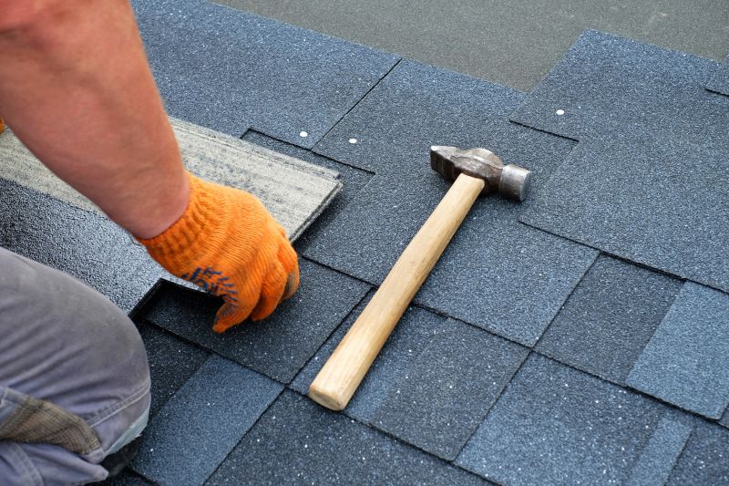 Roof Shingle Maintenance