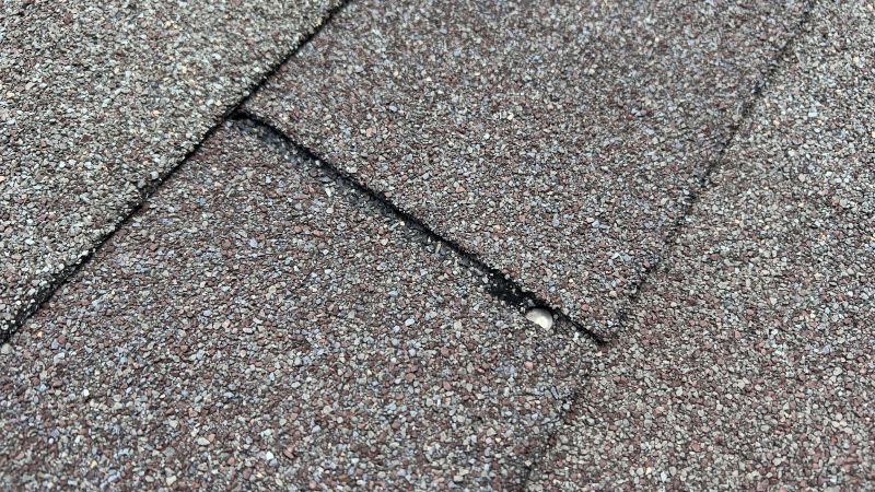 Roof Shingle Maintenance