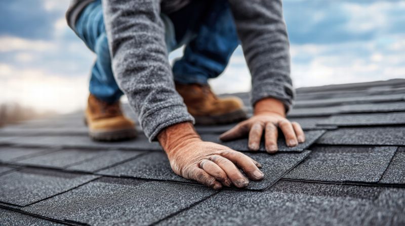 Roof Shingle Maintenance