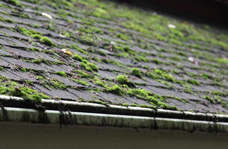Roof Shingle Maintenance