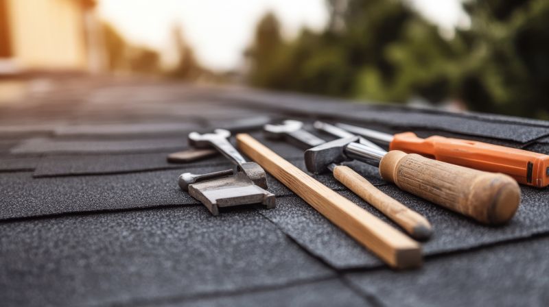 Roof Shingle Maintenance