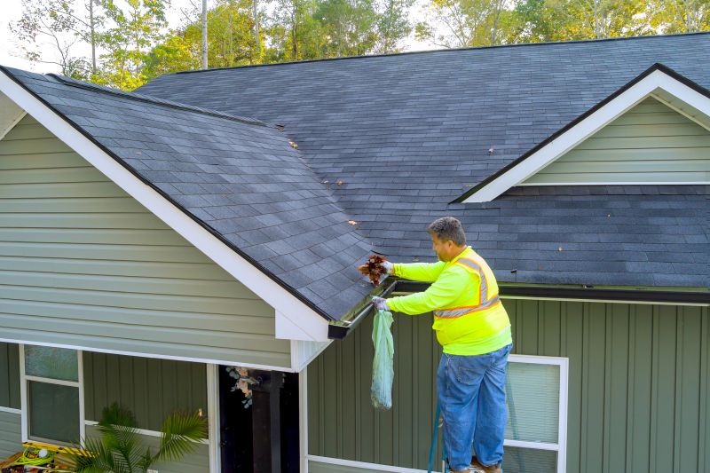 Roof Shingle Maintenance