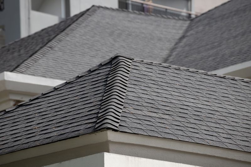 Roof Shingle Maintenance