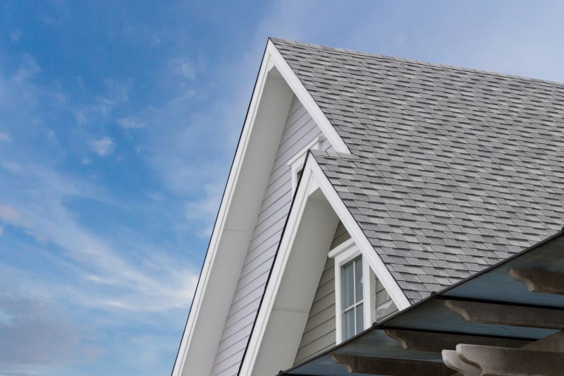Roof Shingle Maintenance