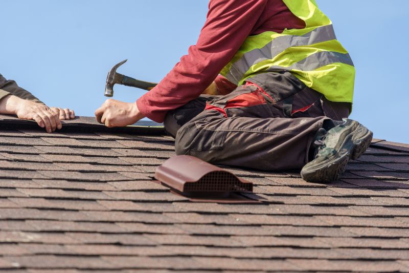 Roof Shingle Maintenance