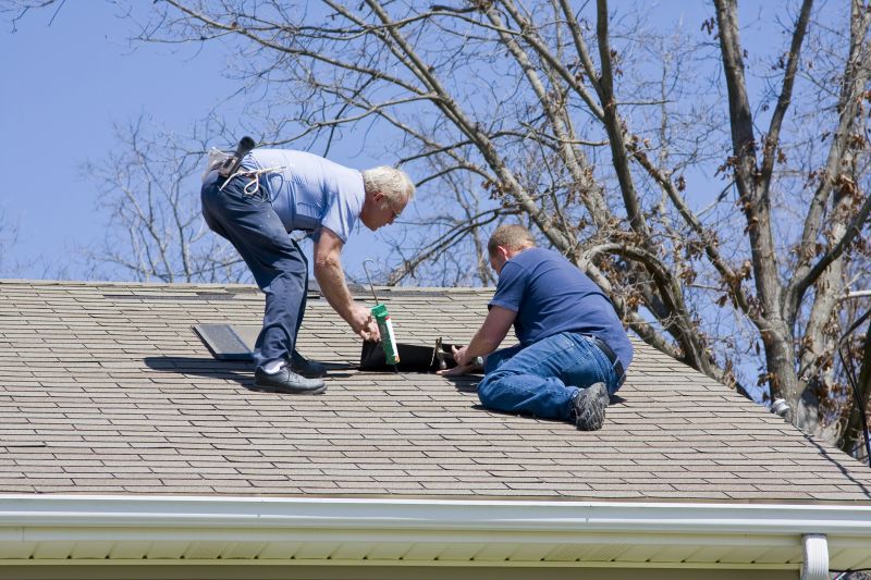 Roof Shingle Maintenance