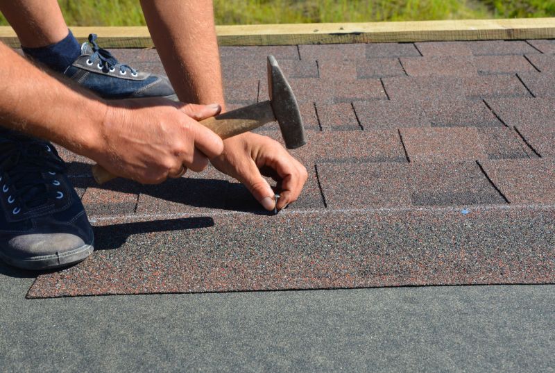 Roof Shingle Maintenance