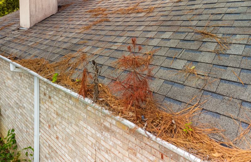 Cleaning Roof Debris