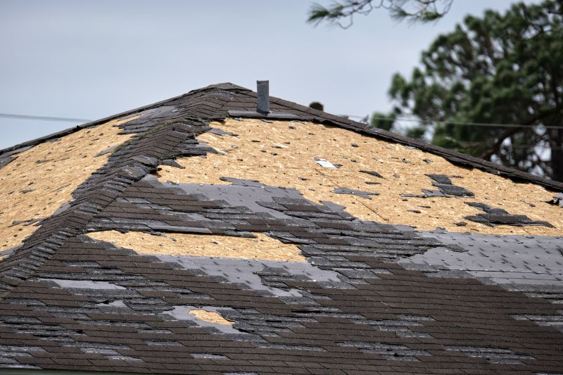 Shingle Repair and Replacement