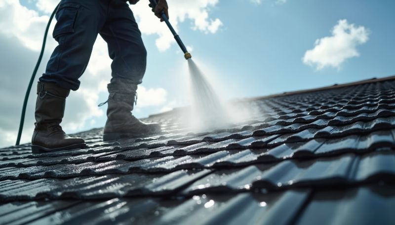 Roof Shingle Maintenance