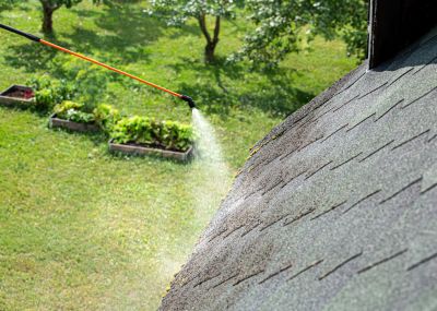 Roof Shingle Maintenance